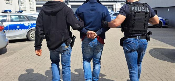 Wielka akcja policji w Podlaskiem. Zlikwidowali plantację konopi. 29-latek na wiele lat może trafić do więzienia