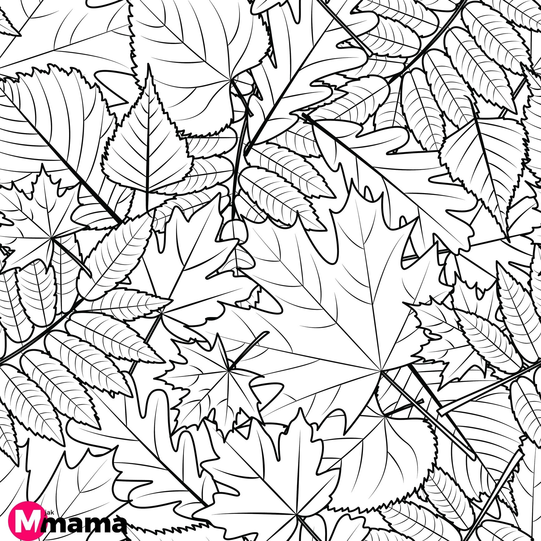 Узор из осенних листьев раскраска
