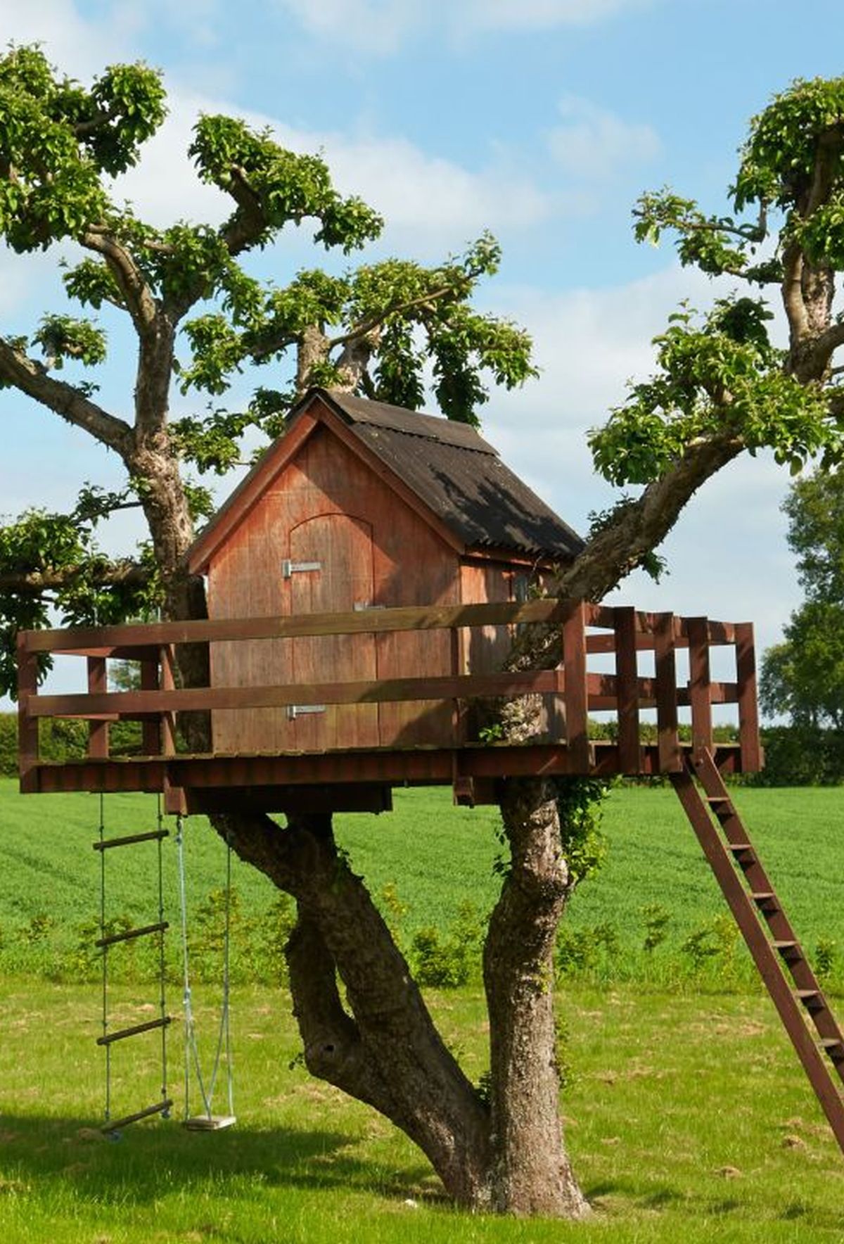 domek na drzewie dla dzieci