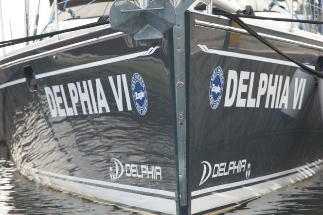 Delphia 46 cc