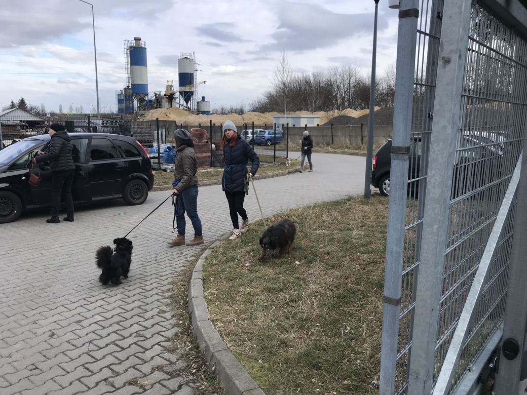 Dzień otwarty w lubelskim schronisku