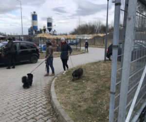 Dzień otwarty w lubelskim schronisku