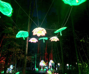 Lumina Park Bydgoszcz