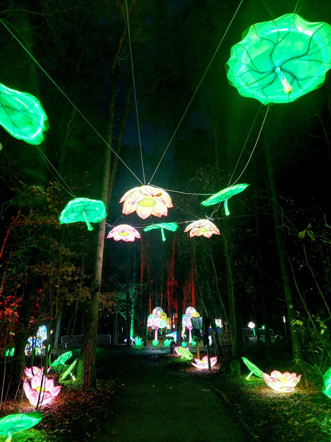 Lumina Park Bydgoszcz