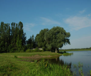 Kuligów i okolice