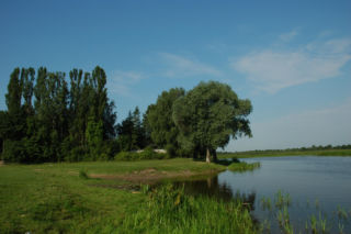 Kuligów i okolice