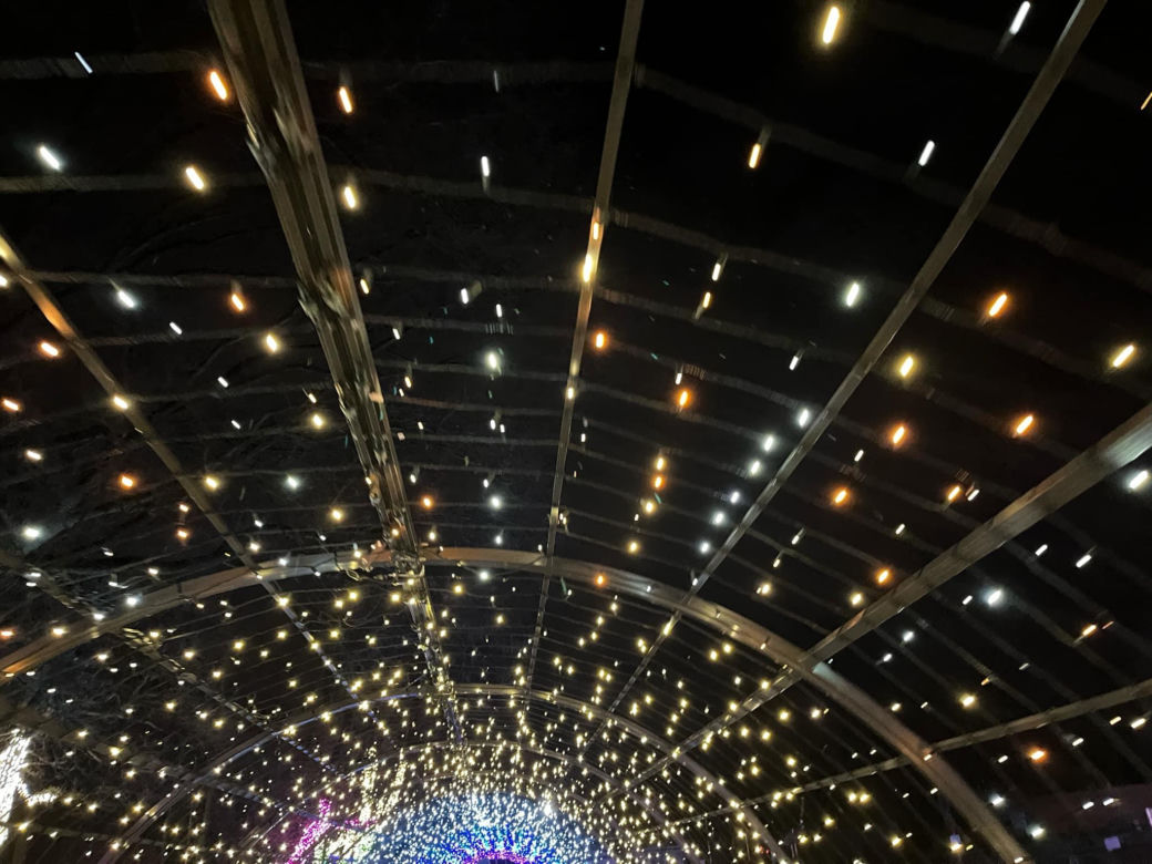 Garden of Lights w Szczecinie