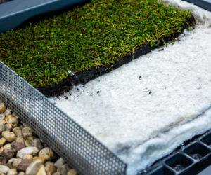 Systemowe zielone dachy - maty wegetacyjne z roślin rozchodnikowych, ziół i mchów