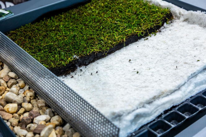 Systemowe zielone dachy - maty wegetacyjne z roślin rozchodnikowych, ziół i mchów