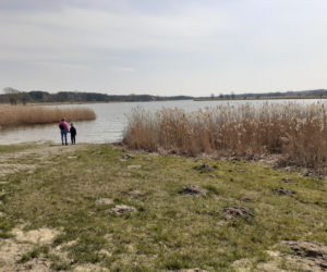 Pierwsza akcja sprzątania brzegów rzeki Muchawki i siedleckiego zalewu w ramach Operacji Czysta Rzeka 2021