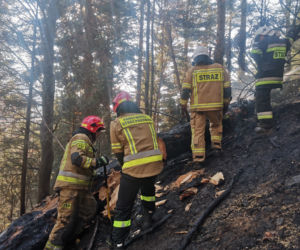 Wyrzucał popiół z kominka, ogniem zajął się hektar lasu w Baligrodzie [Zdjęcia]