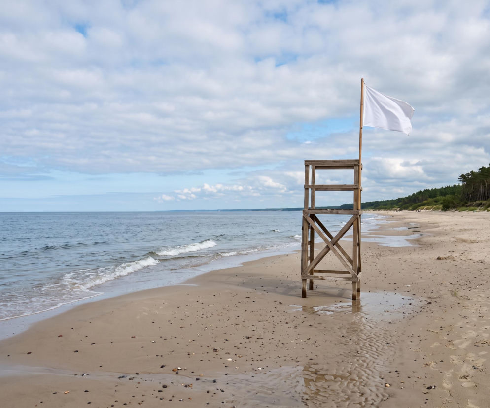 Sinice Stegna. Czy w Stegnie można się kąpać 18.08? Flaga, warunki pogodowe