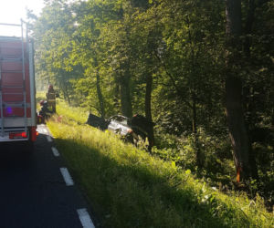 Kamieńczyk. Trzech ciężko rannych mężczyzn! Ich audi roztrzaskało się o drzewo na DK nr 62 [ZDJĘCIA]