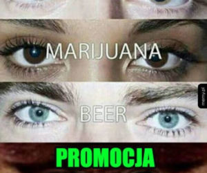Black Friday memy