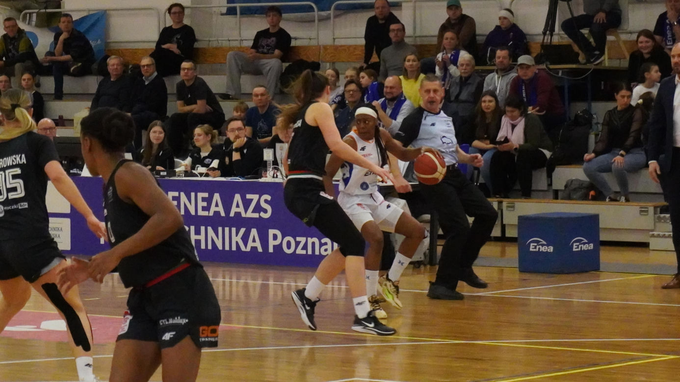 Enea AZS Politechnika Poznań - MB Zagłębie Sosnowiec