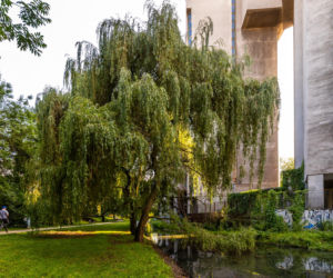 Szpiegowo w Warszawie