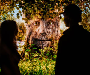 O czym szumi las? Sprawdziliśmy to zwiedzając multisensoryczną wystawę  Żywiec Zdrój: 10 milionów drzew