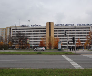 Tyle kosztują akademiki w Warszawie 