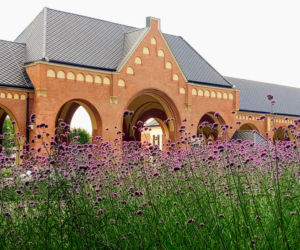 Tysiące wyjątkowych kwiatów ozdobiły największy cmentarz w Polsce