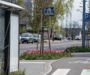 Olsztyn w wiosennym wydaniu. W mieście jest coraz piękniej