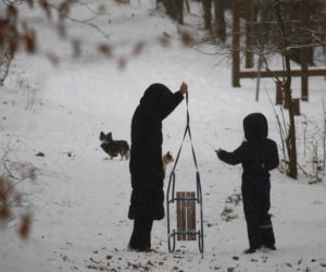 Marta Kaczyńska z synem i psami na sankach w lesie
