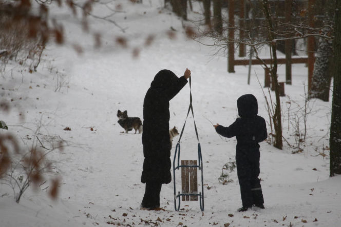 Marta Kaczyńska z synem i psami na sankach w lesie