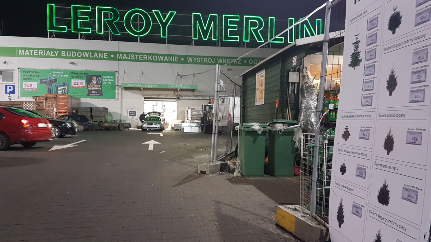 Gdzie kupić choinkę w Toruniu?