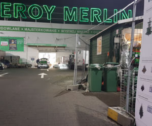 Gdzie kupić choinkę w Toruniu?