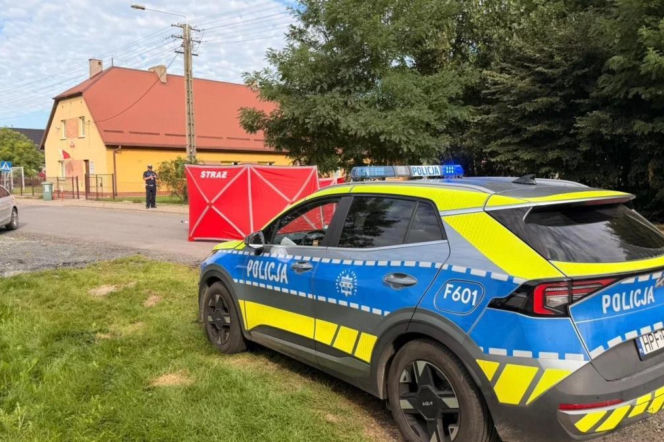 Szła z dwojgiem dzieci przez jezdnię. 32-latka zginęła pod kołami ciężarówki