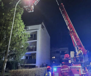 Kot utknął wysoko na drzewie. Spektakularna akcja służb w Ostrowie!