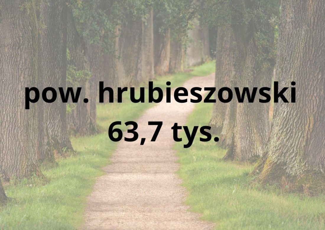 Te powiaty w woj. lubelskim są najmniej zaludnione. Gdzie mieszka najmniej osób? Sprawdź!