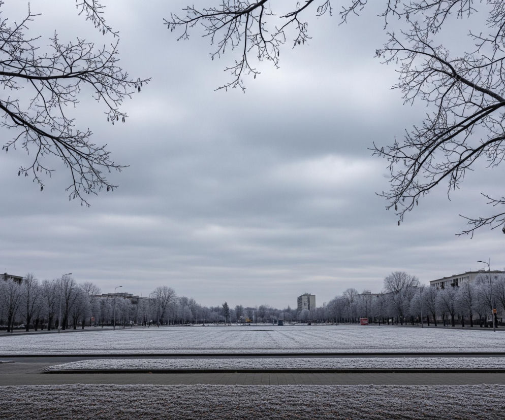 Rozległy, zaśnieżony park miejski rozciąga się w centrum obrazu, otoczony z obu stron rzędami oszronionych drzew i budynków. Niebo jest zachmurzone i szare, a bezlistne gałęzie drzew w dolnej części obrazu i na górze po prawej stronie są pokryte delikatnym szronem. Pasy trawy pokryte białym szronem oddzielone są chodnikami z ciemnych płyt, a w tle widać bloki mieszkalne i pojedyncze budynki.