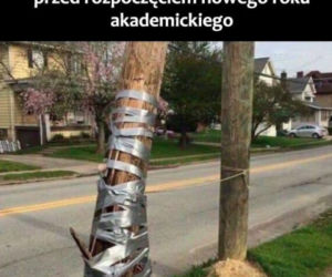 Najlepsze memy o studentach!