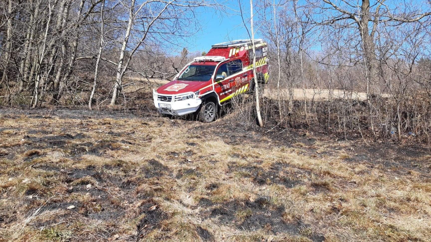 77-latka chciała uporządkować działkę, a zginęła w potwornych męczarniach. Tragedia pod Limanową