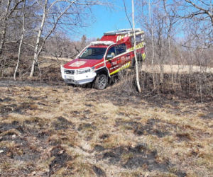 77-latka chciała uporządkować działkę, a zginęła w potwornych męczarniach. Tragedia pod Limanową