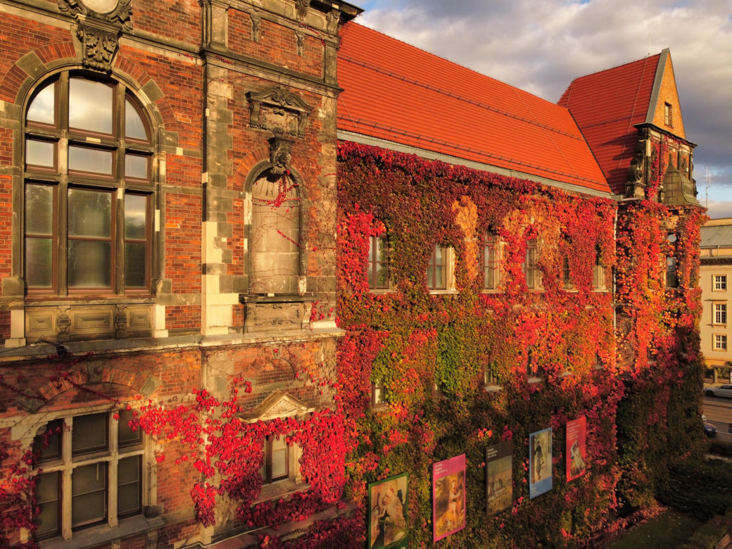 Te widoki zapierają dech w piersiach. Piękna jesień we Wrocławiu   