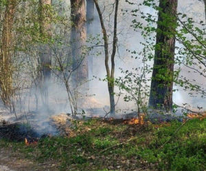 Rafał chciał zostać strażakiem. Teraz 37-latek odpowie za seryjne podpalenia lasów
