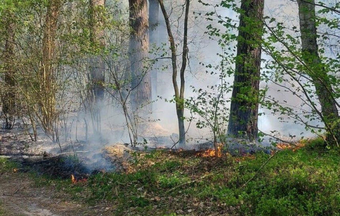 Rafał chciał zostać strażakiem. Teraz 37-latek odpowie za seryjne podpalenia lasów