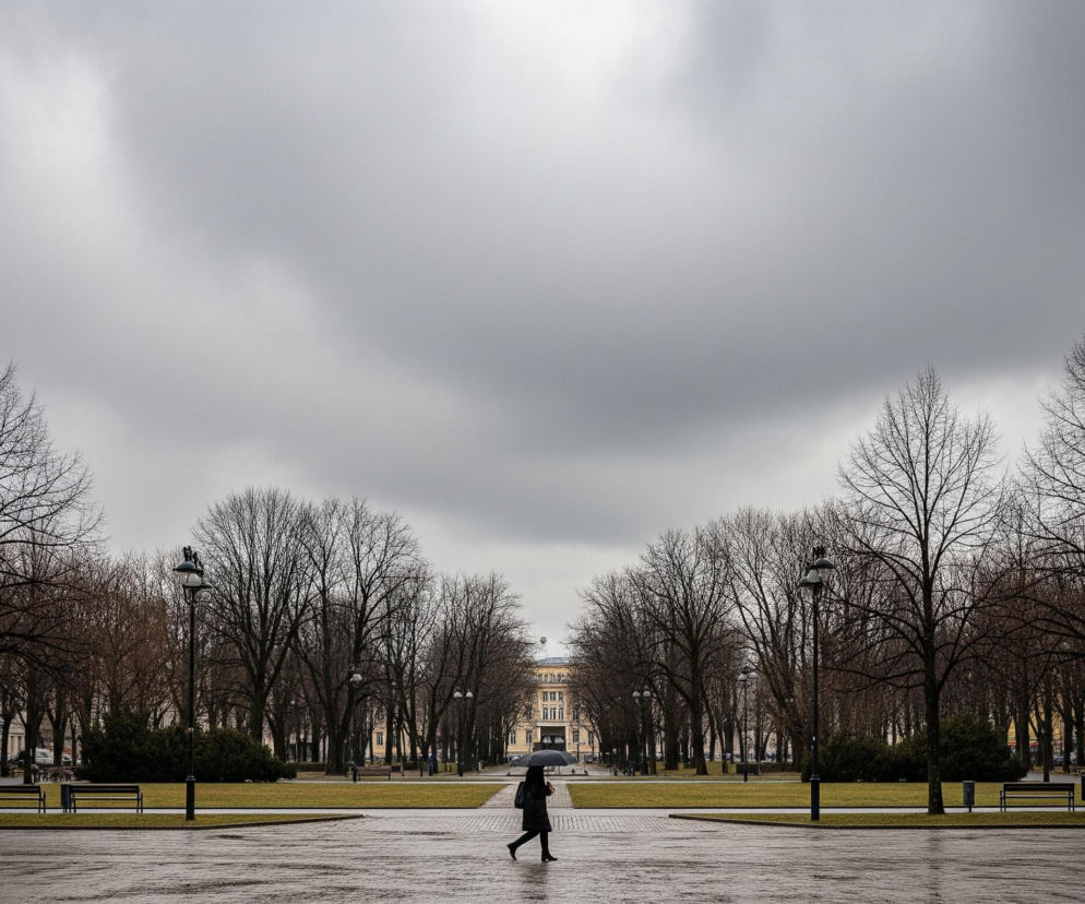 Osoba z czarną parasolką kroczy brukowaną aleją w lewo, widziana od tyłu, ubrana w ciemne okrycie i buty na obcasie. Aleja, oświetlona latarniami, prowadzi przez park z nagimi drzewami o brązowych gałęziach, ustawionymi wzdłuż dwóch pasów zielonej trawy. W tle znajduje się symetryczny, jasny budynek z wieloma oknami, a nad całością dominują ciemne, ołowiane chmury.