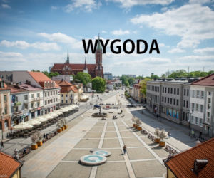 5. Wygoda