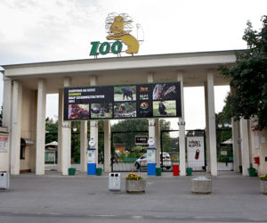 Wrocławskie Zoo