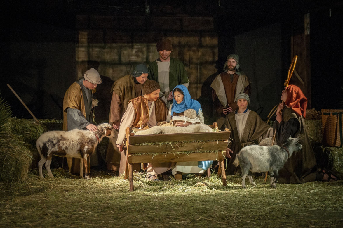 Żywa szopka w Piekarach Śląskich
