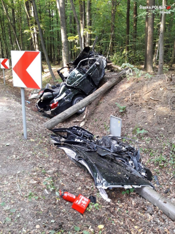 Sierakowice. STRASZNA śmierć 35-latka. Został zmiażdżony w aucie przez drzewo [ZDJĘCIA]