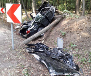 Sierakowice. STRASZNA śmierć 35-latka. Został zmiażdżony w aucie przez drzewo [ZDJĘCIA]