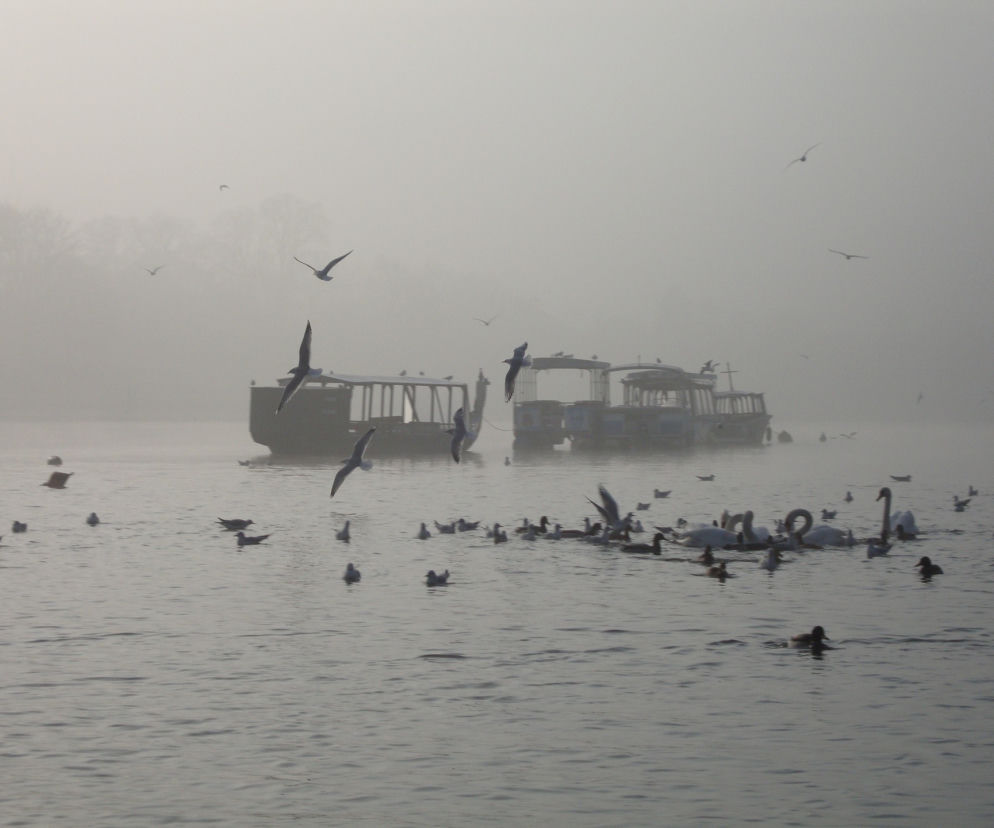 Smog da się we znaki