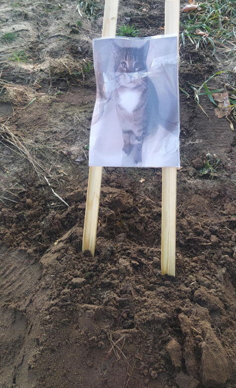 Pilnuje grobu Perełki, by nie zjadły jej dzikie zwierzęta. „Oprócz niej nie mam nikogo”
