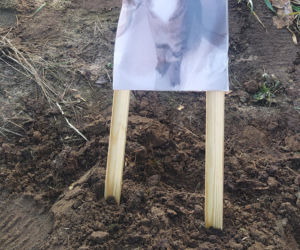 Pilnuje grobu Perełki, by nie zjadły jej dzikie zwierzęta. „Oprócz niej nie mam nikogo”