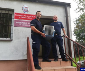 Policjanci pomogli cierpiącym zwierzętom