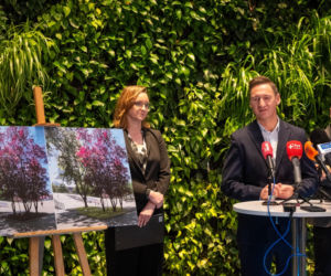 Plac Solidarności przejdzie lifting