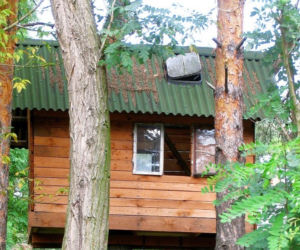 Domek na drzewie